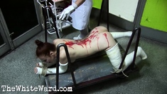 Watch dominated fetish bdsm hottie