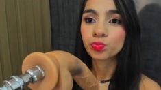 Masturbating loving babe solo toy plays with enthusiasm