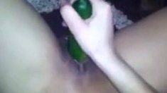 Asian Girl's Solo Fun with a Cucumber