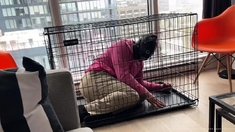 Lord Goddess Maria - Introducing The Slave To Its Cage