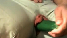 Very Big Pussy Lips In Videochat