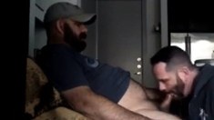 Hairy Big Daddy Bear Suck Dick