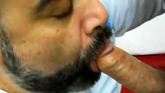 Daddy bear sucking cock