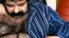 Big hairy bear and hairy body