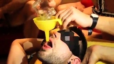 Gay Amateur Gangbang Bb